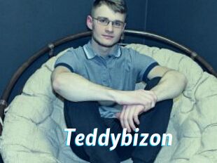 Teddybizon
