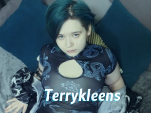 Terrykleens