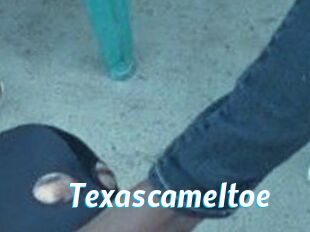 Texascameltoe
