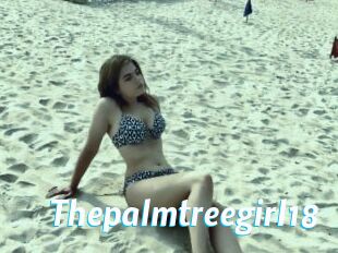 Thepalmtreegirl18