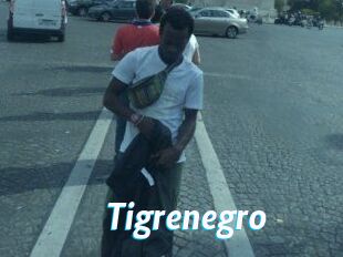 Tigrenegro