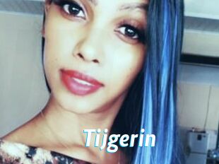 Tijgerin