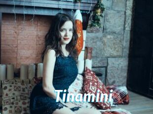 Tinamini