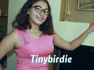 Tinybirdie