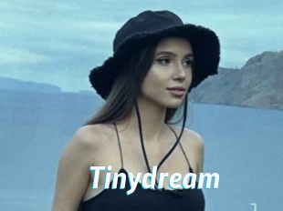 Tinydream