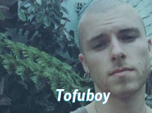 Tofu_boy