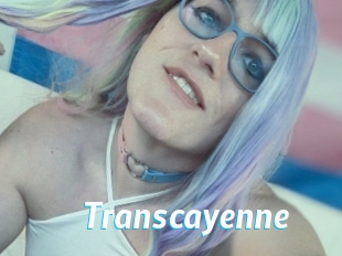 transcayenne J Mine