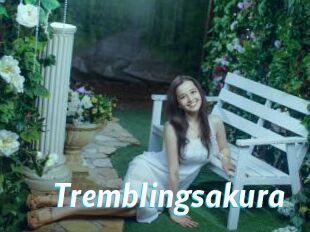 Tremblingsakura
