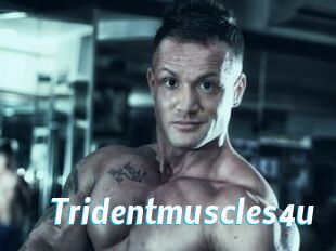 Tridentmuscles4u