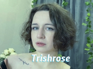 Trishrose