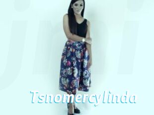 Tsnomercylinda