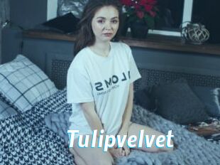 Tulipvelvet