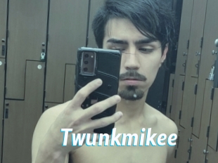 Twunkmikee