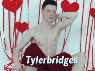 tylerbridges J Mine