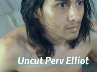 Uncut_Perv_Elliot