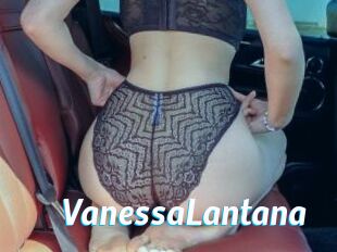 VanessaLantana