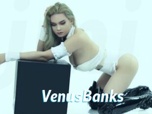 VenusBanks