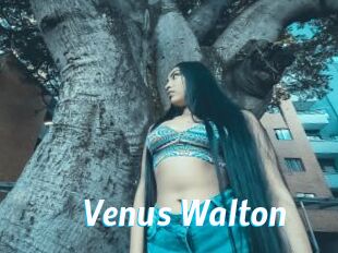 Venus_Walton