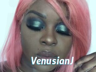 VenusianJ