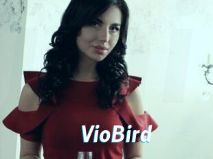 VioBird