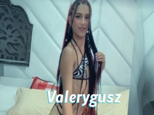 Valerygusz