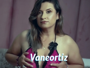 Vaneortiz