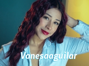 Vanesaaguilar