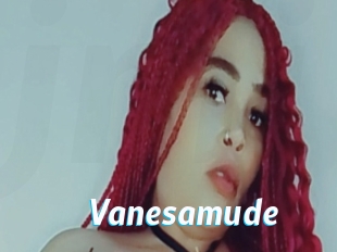 Vanesamude
