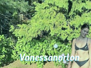 Vanessanorton