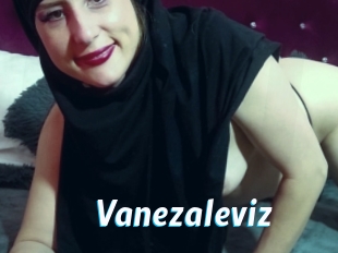 Vanezaleviz