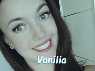 vanilia J Mine