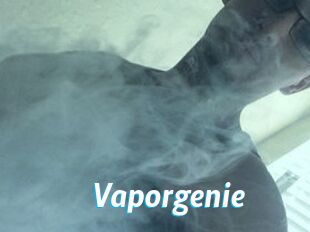 Vapor_genie