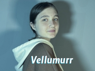 Vellumurr