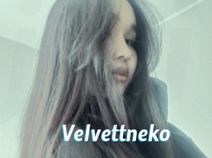 Velvettneko