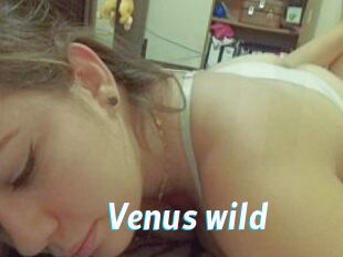 Venus_wild