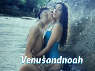 Venusandnoah