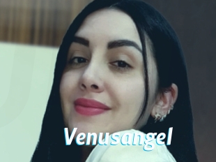 Venusangel