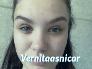 Vernitaasnicar