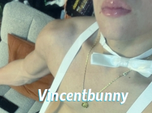 Vincentbunny