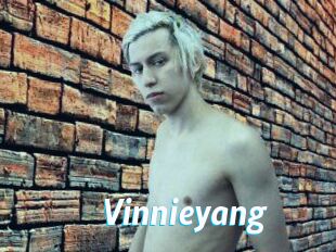 Vinnieyang