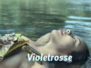 Violetrosse