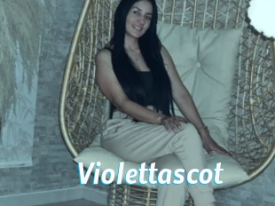 Violettascot