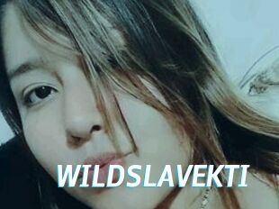 WILDSLAVEKTI