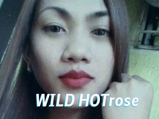 WILD_HOTrose