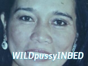 WILDpussyINBED