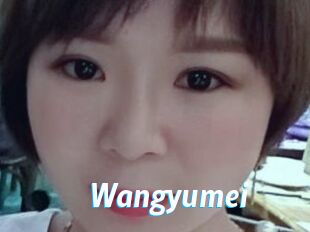Wangyumei J Mine