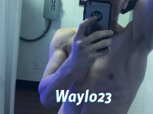 Waylo23
