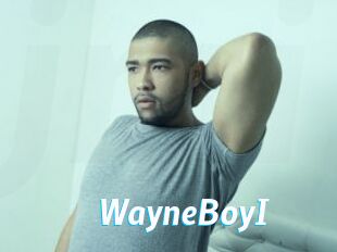 WayneBoyI