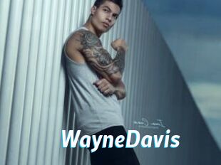 WayneDavis