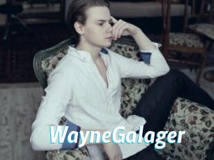 WayneGalager